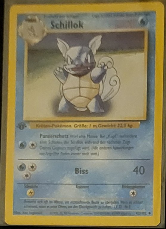 Wartortle (German, Schillok)